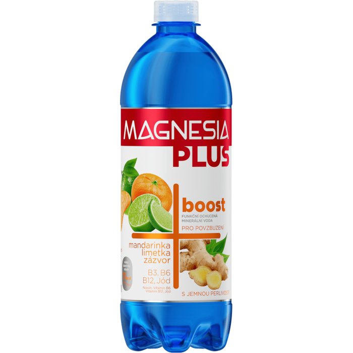 Magnesia PLUS Boost 0,7L